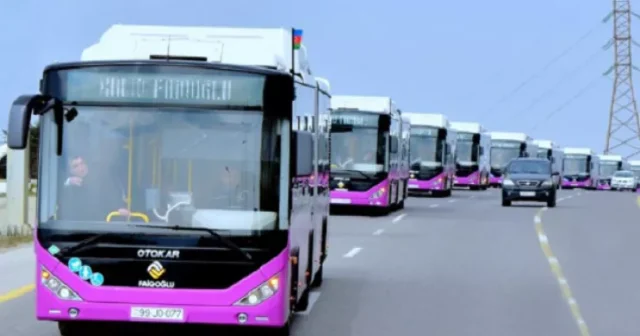 media-6ada1638422ac6ada1638422ad17926774326ada1638422aa6ada1638422ab