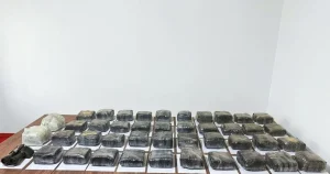 media-luatux3zbxlpomnzbqacbuht4xvypx4ozsdyicsd_1200